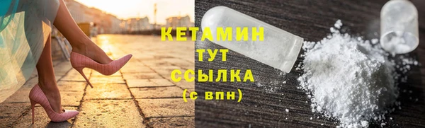 гашик Сосновка
